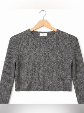 Babaton Aritzia Cropped Ribbed Sweater Grey XS Wool Blend Crewneck Minimalist